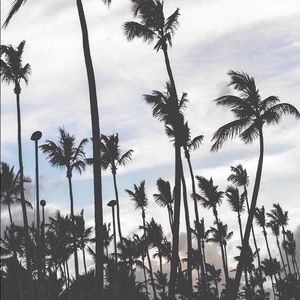 Meet your Posher, Kyle